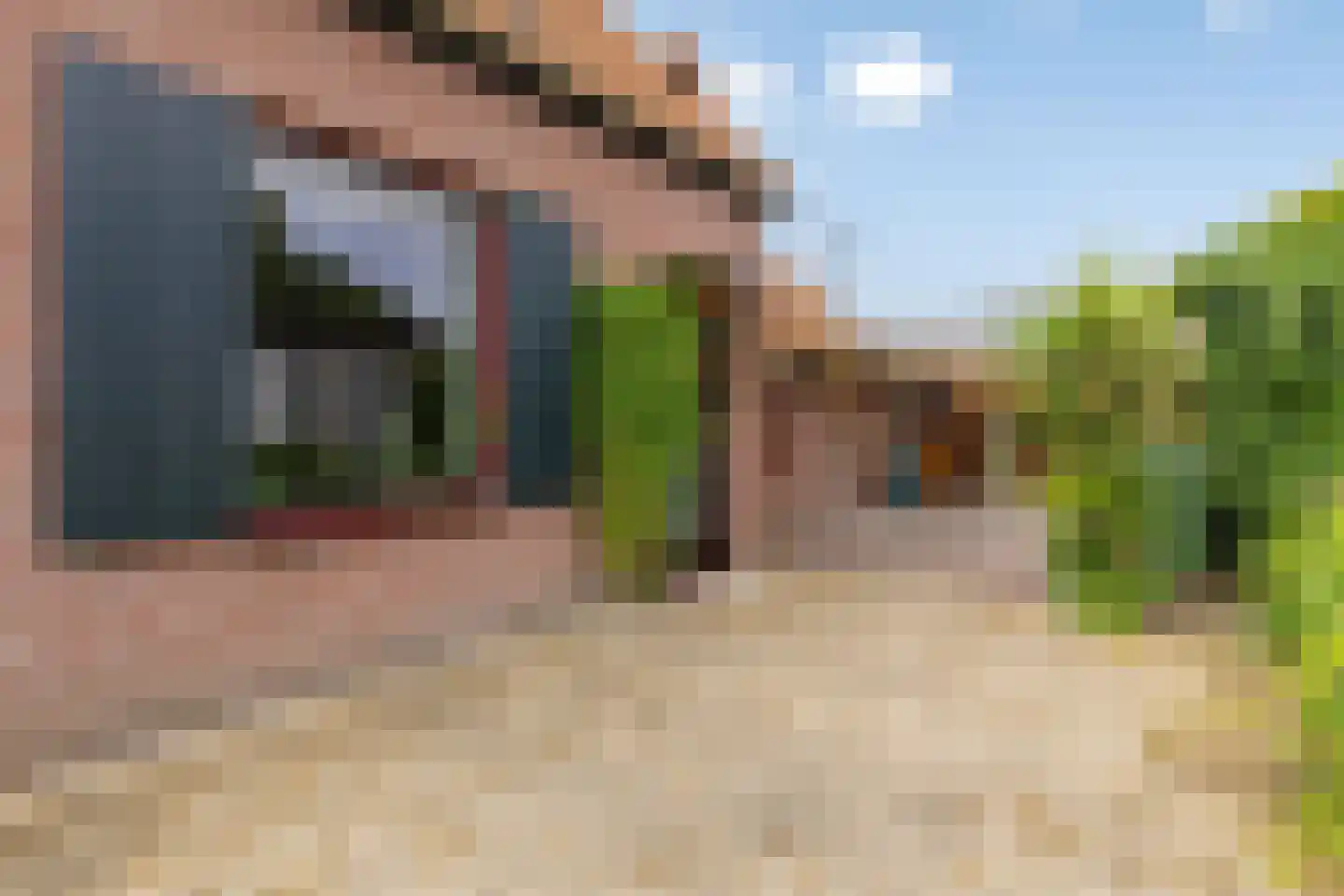 Langeslag 14 Heerde thumbnail 7