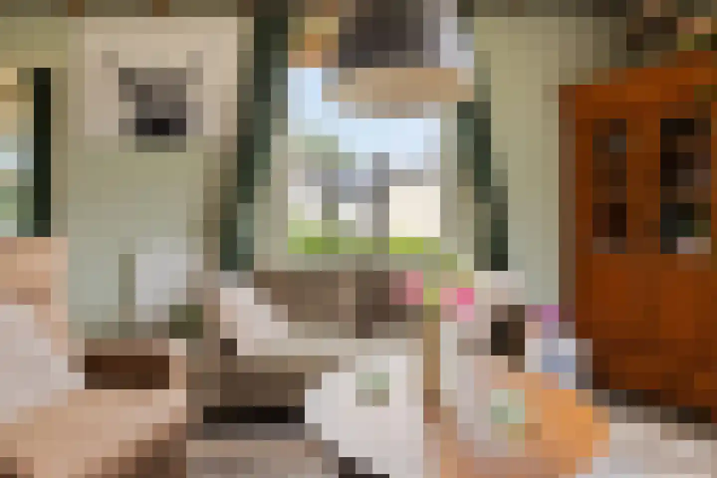 Langeslag 14 Heerde thumbnail 8
