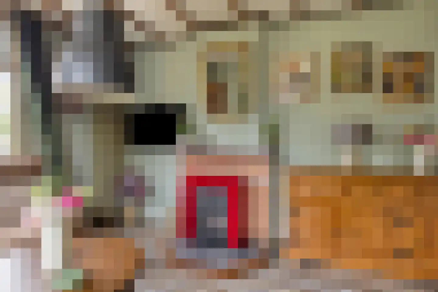 Langeslag 14 Heerde thumbnail 9
