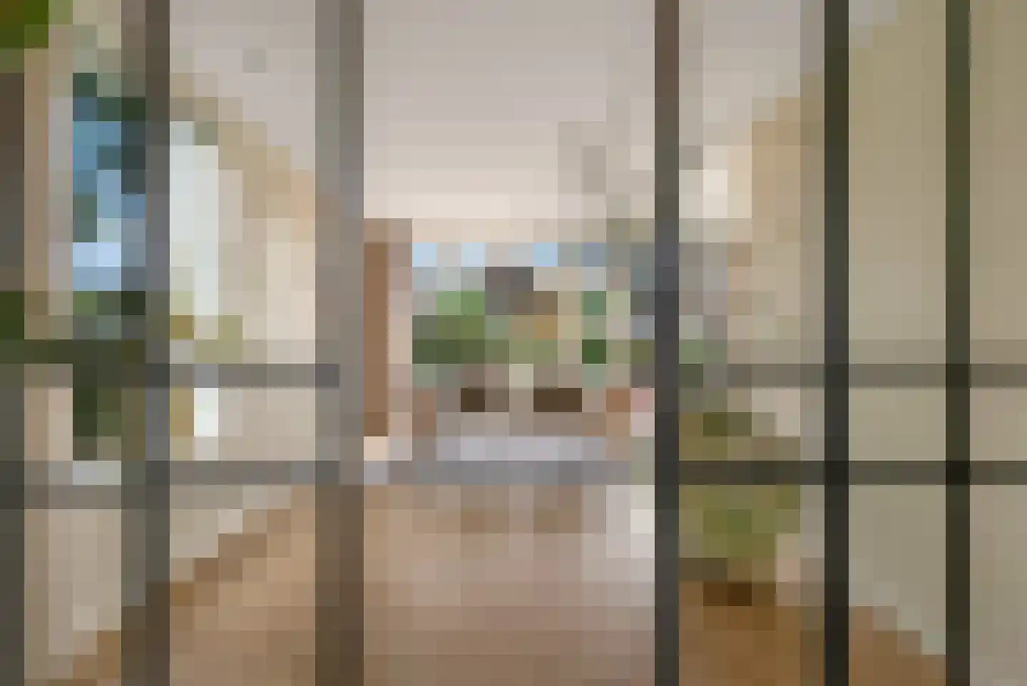 Langeslag 32 Heerde thumbnail 11