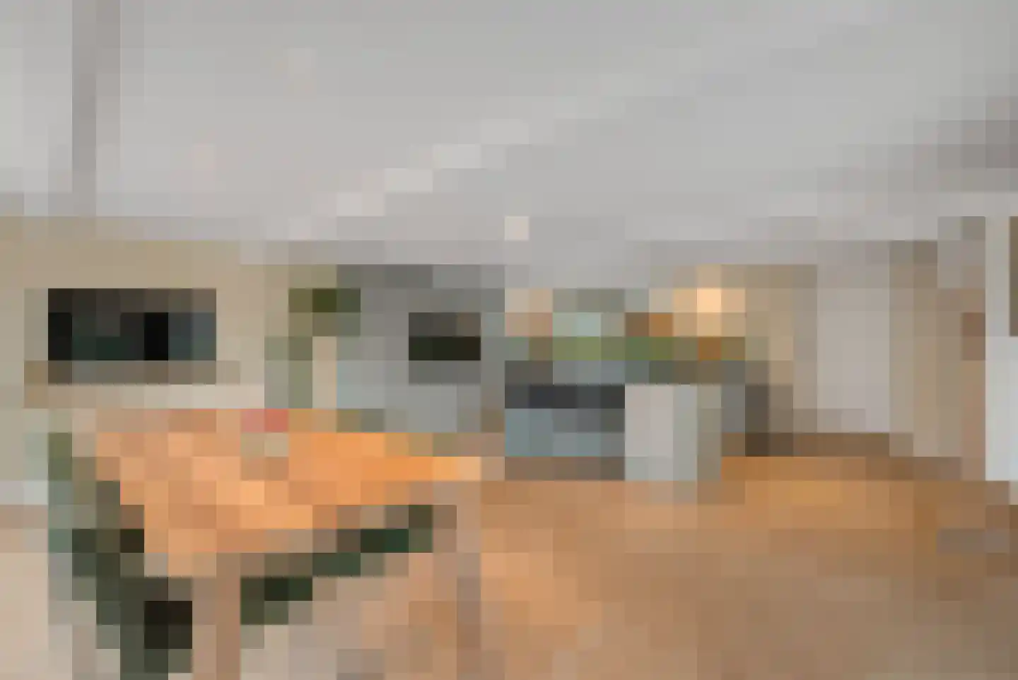Langeslag 32 Heerde thumbnail 19