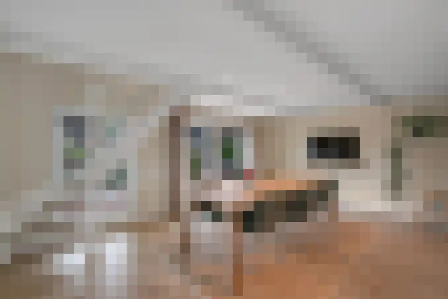 Langeslag 32 Heerde thumbnail 20