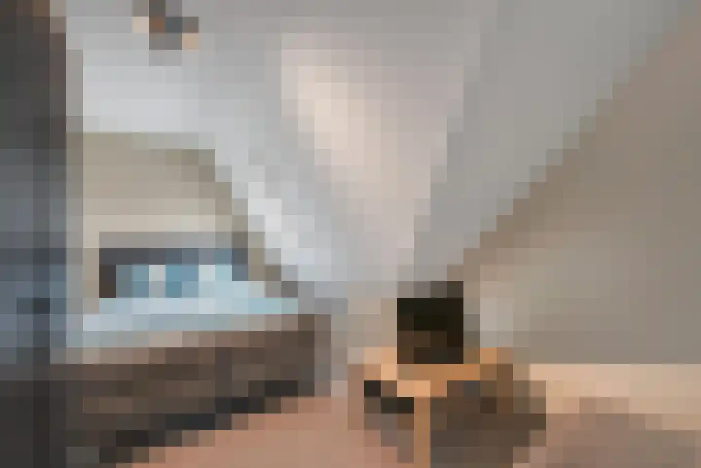 Langeslag 32 Heerde thumbnail 36