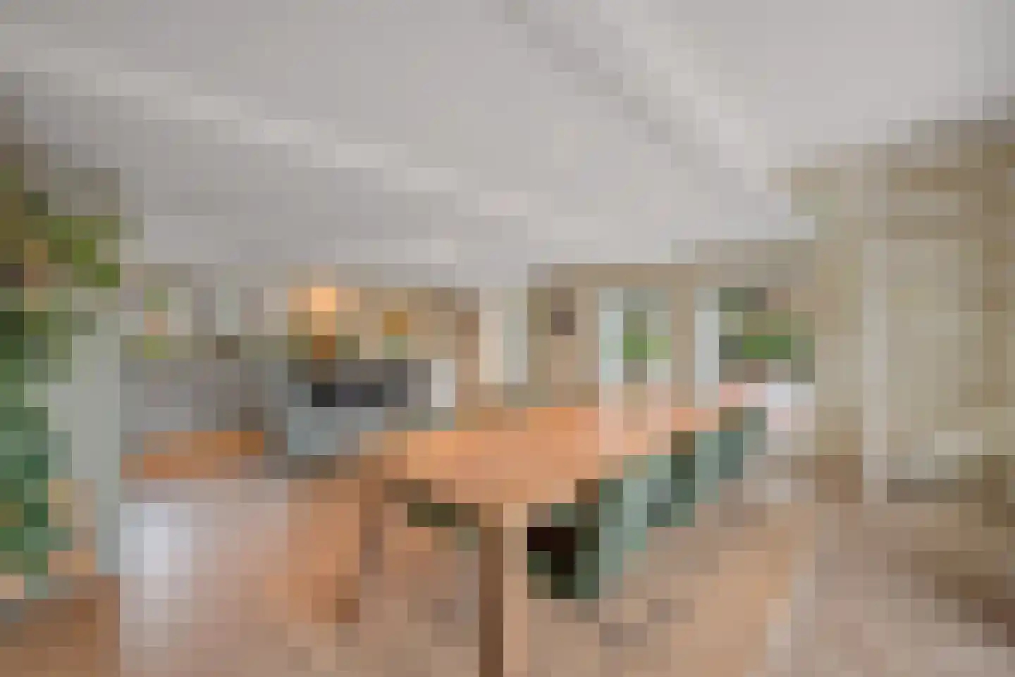 Langeslag 32 Heerde thumbnail 4