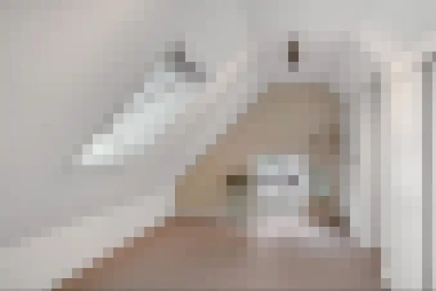 Langeslag 32 Heerde thumbnail 40