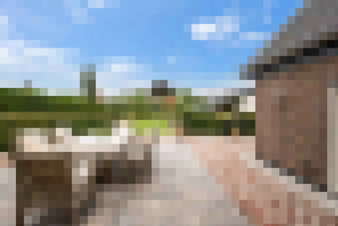 Langeslag 32 Heerde thumbnail 48