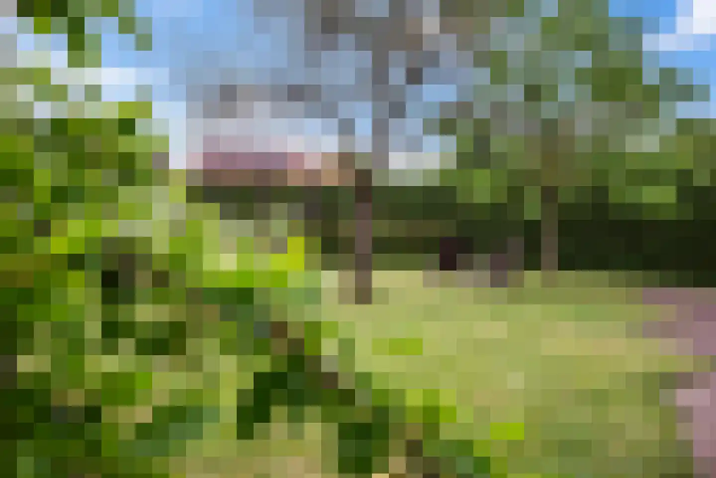 Langeslag 32 Heerde thumbnail 50