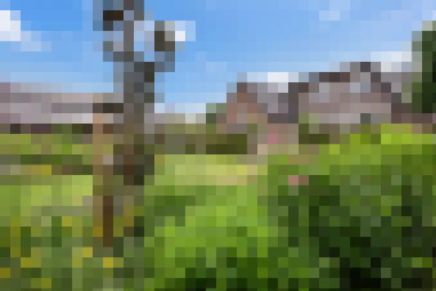 Langeslag 32 Heerde thumbnail 51
