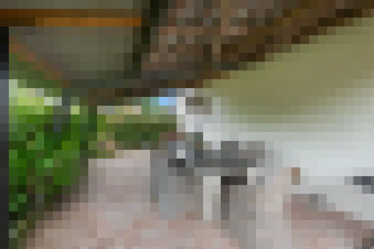 Langeslag 32 Heerde thumbnail 52