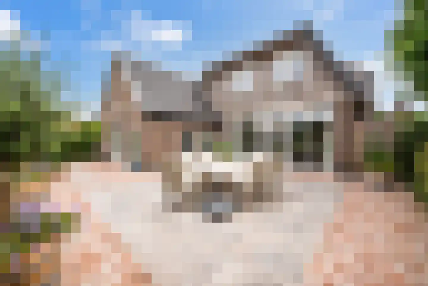 Langeslag 32 Heerde thumbnail 56