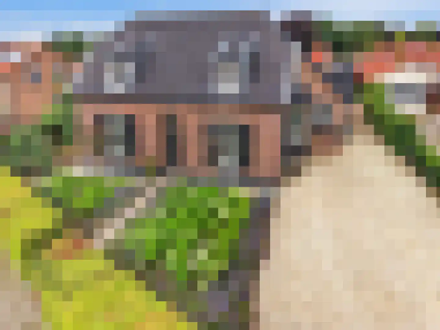 Langeslag 32 Heerde thumbnail 59