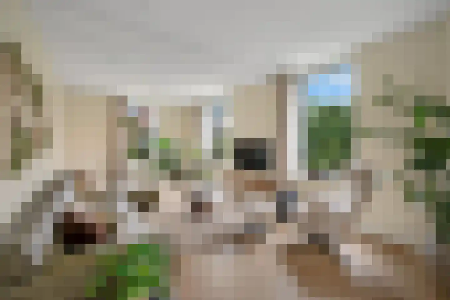 Langeslag 32 Heerde thumbnail 6