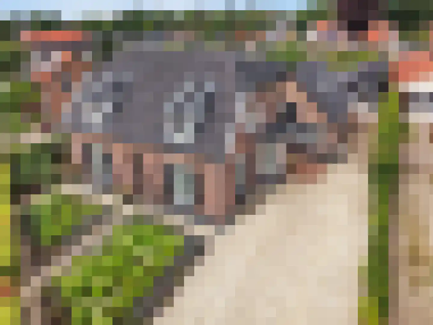 Langeslag 32 Heerde thumbnail 60