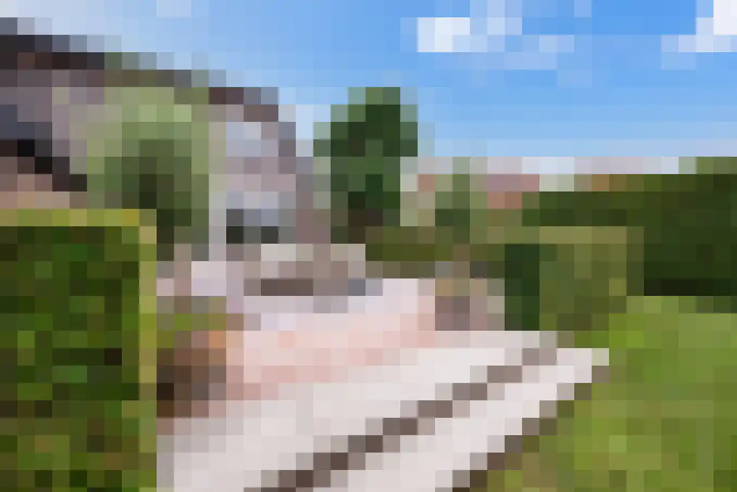 Langeslag 32 Heerde thumbnail 63