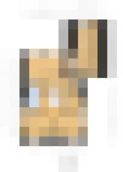 Langeslag 32 Heerde thumbnail 66