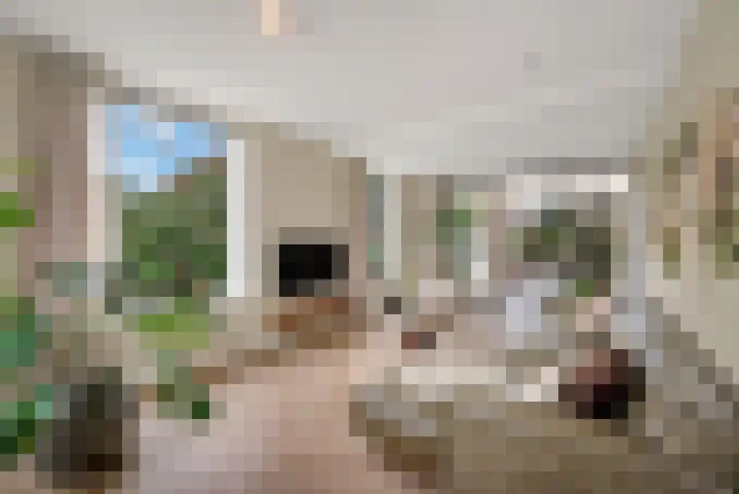 Langeslag 32 Heerde thumbnail 7