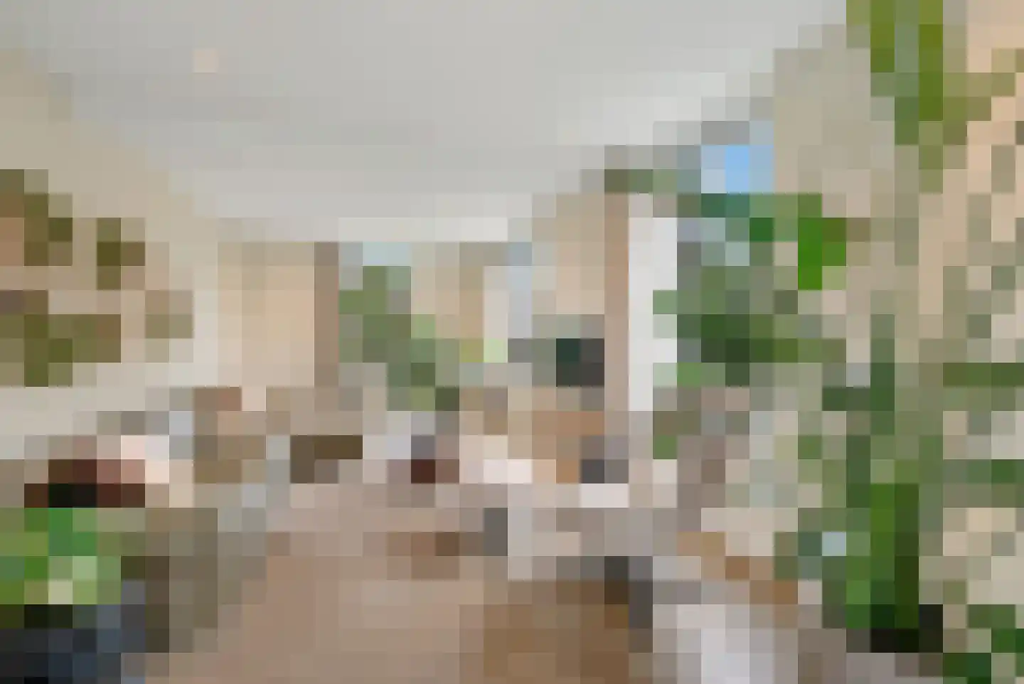 Langeslag 32 Heerde thumbnail 9