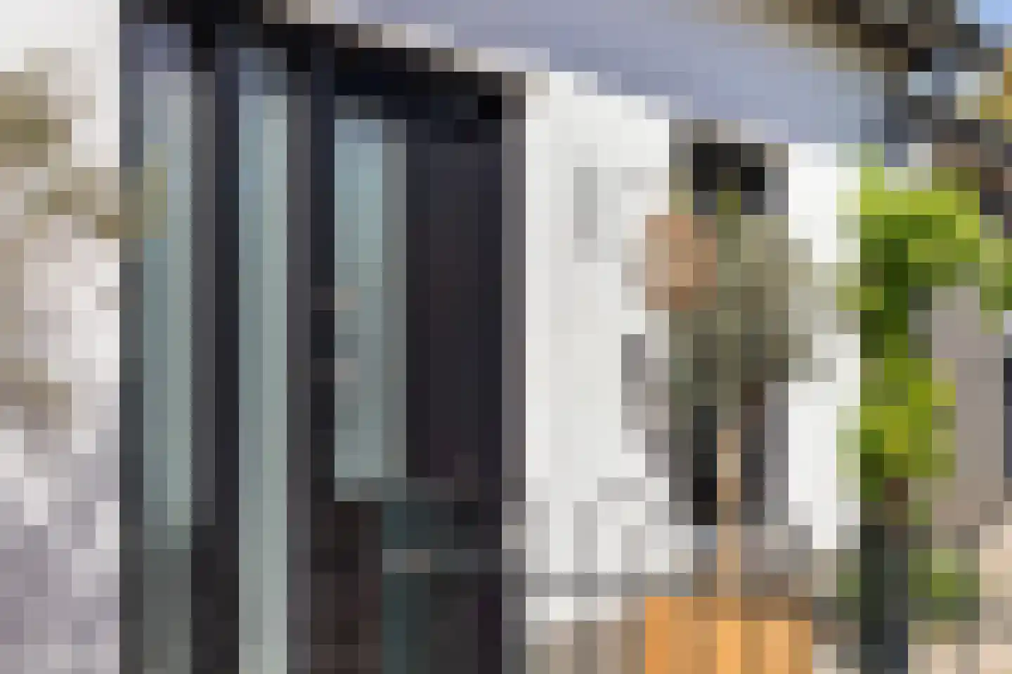Langeslag 37 Heerde thumbnail 13