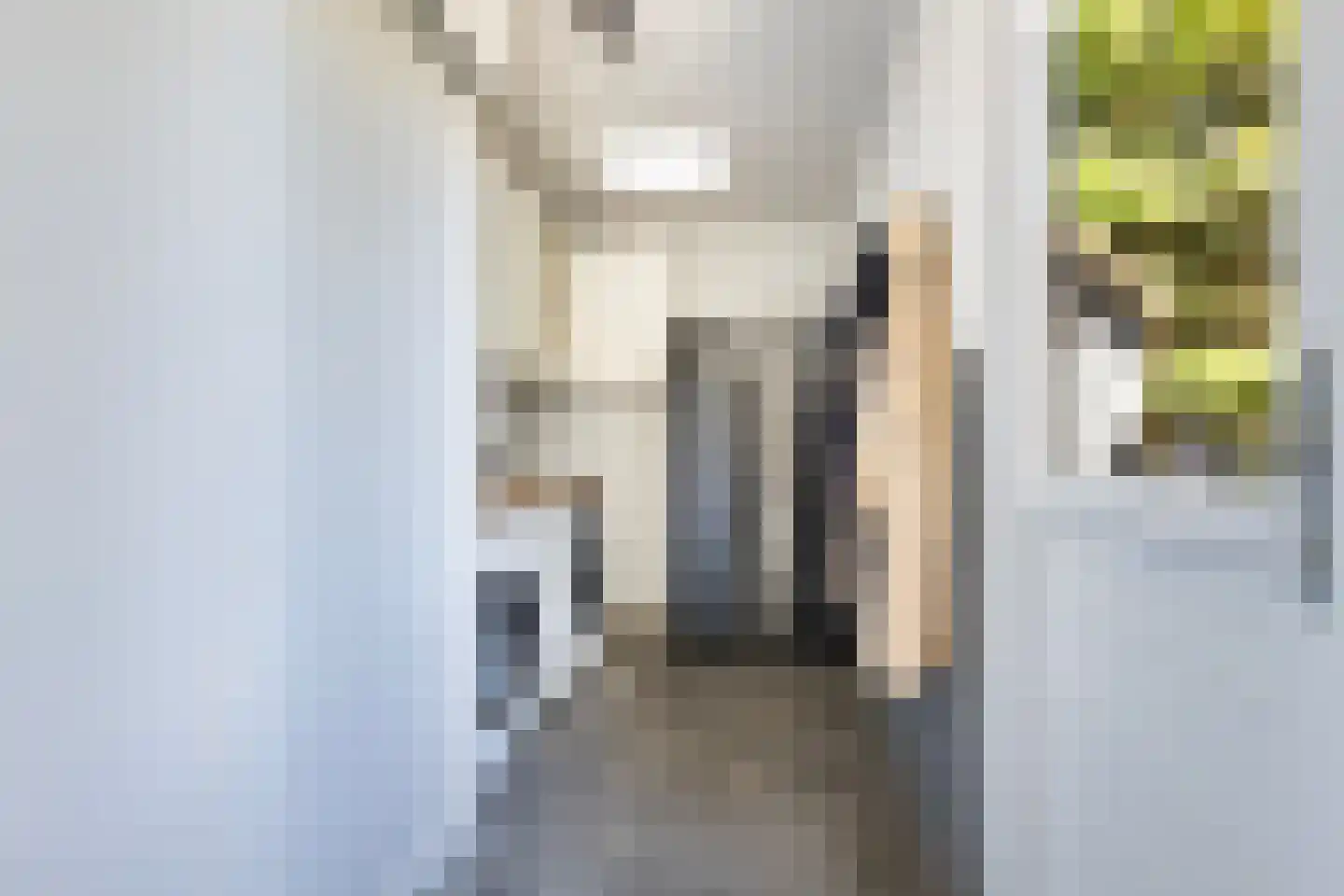 Langeslag 37 Heerde thumbnail 38