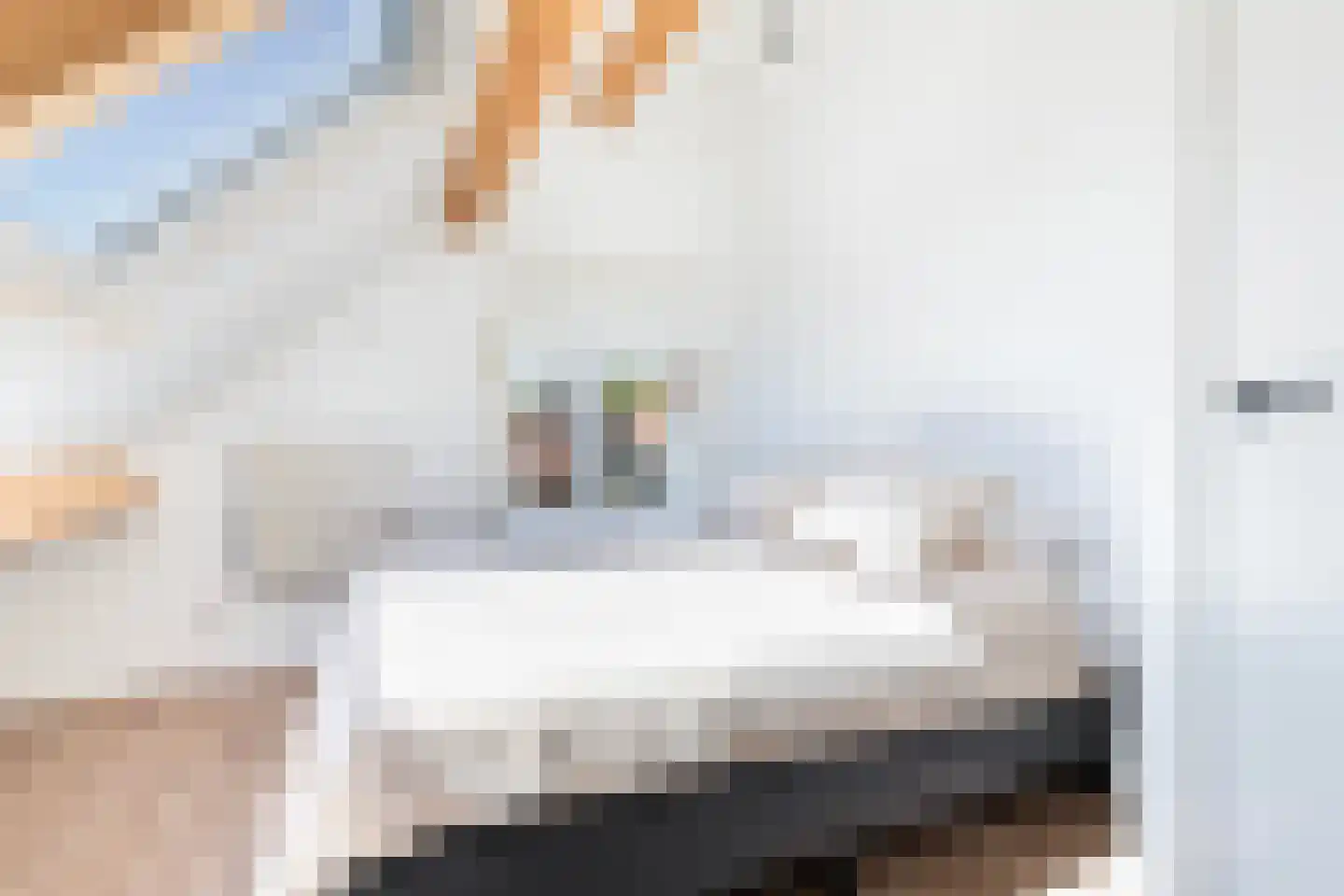 Langeslag 37 Heerde thumbnail 46