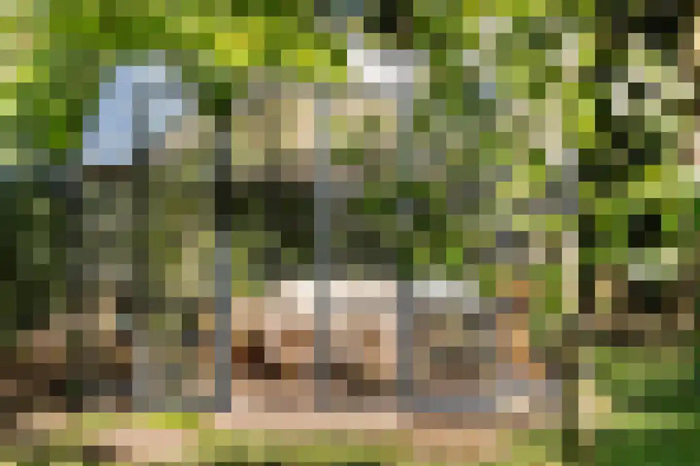 Langeslag 37 Heerde thumbnail 5