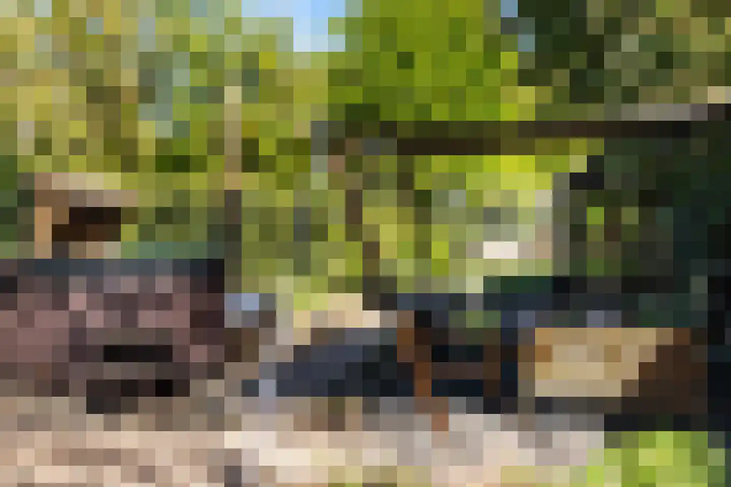 Langeslag 37 Heerde thumbnail 52