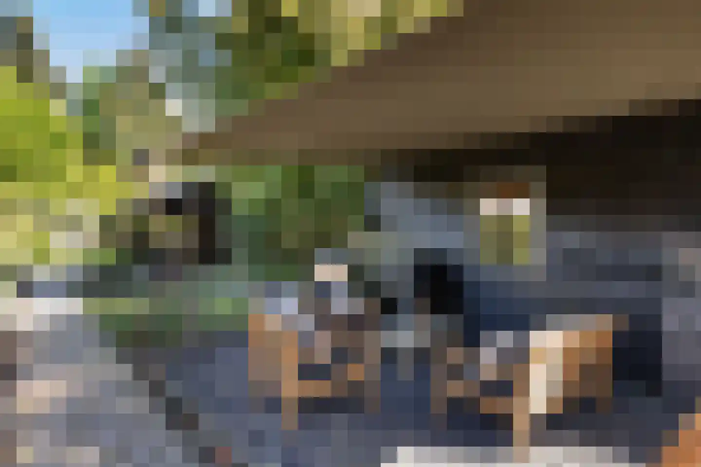 Langeslag 37 Heerde thumbnail 56