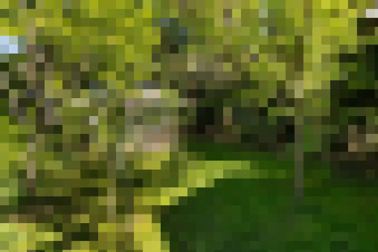 Langeslag 37 Heerde thumbnail 60