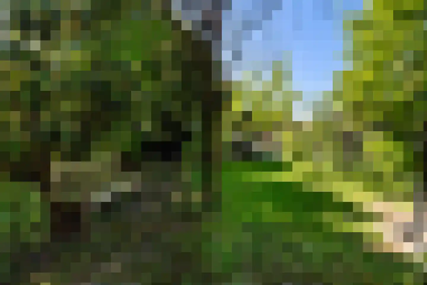 Langeslag 37 Heerde thumbnail 61