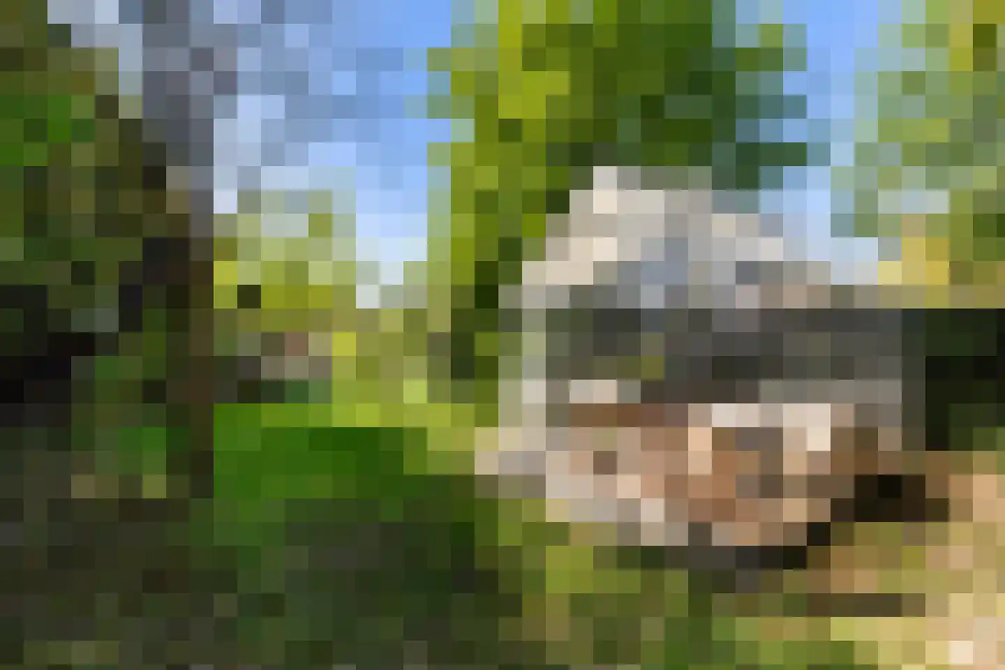 Langeslag 37 Heerde thumbnail 62