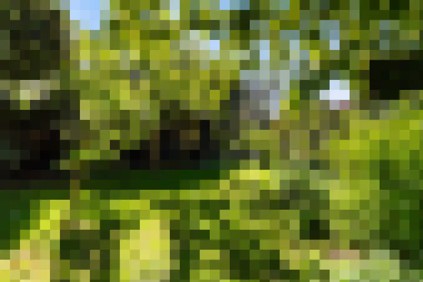 Langeslag 37 Heerde thumbnail 63