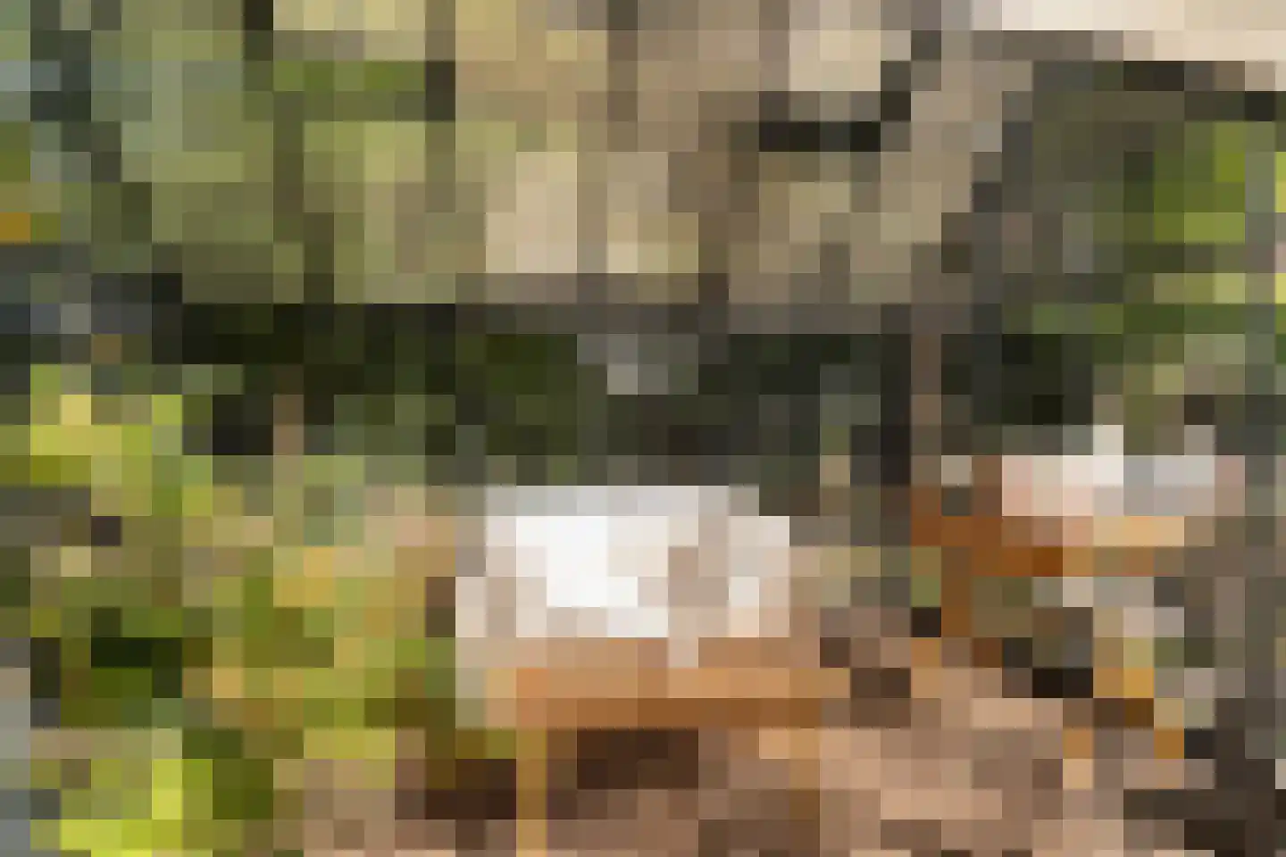 Langeslag 37 Heerde thumbnail 64