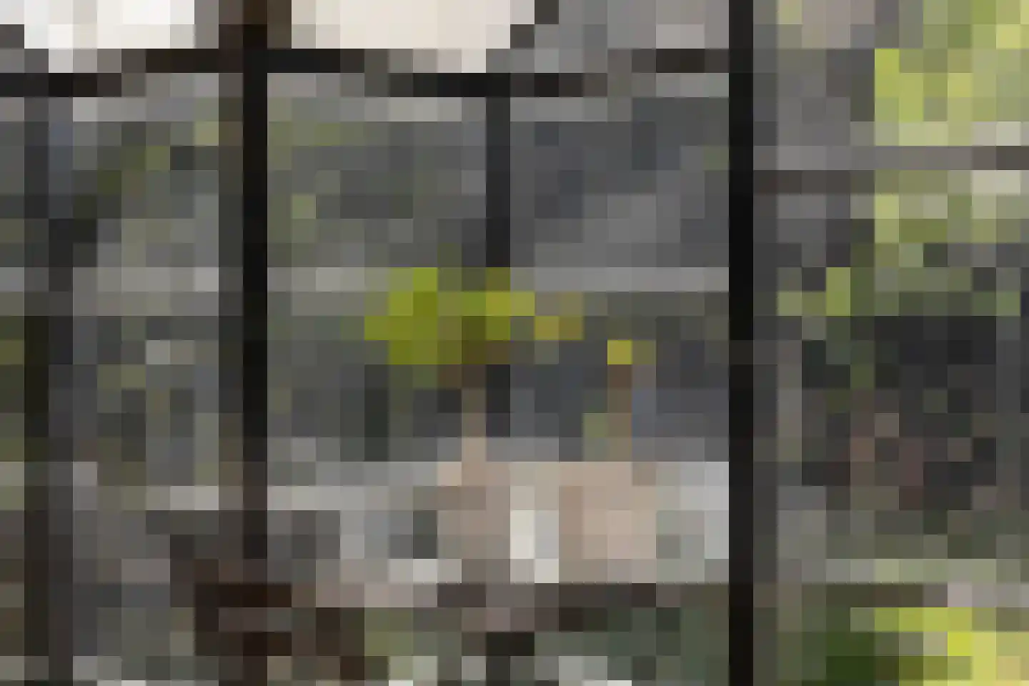 Langeslag 37 Heerde thumbnail 65