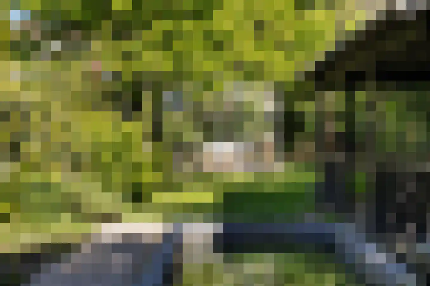 Langeslag 37 Heerde thumbnail 67