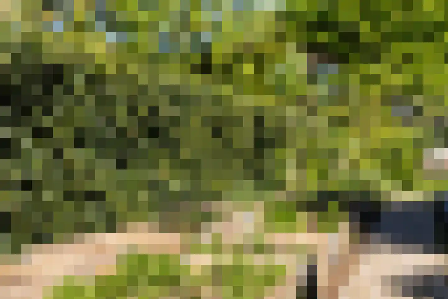 Langeslag 37 Heerde thumbnail 68