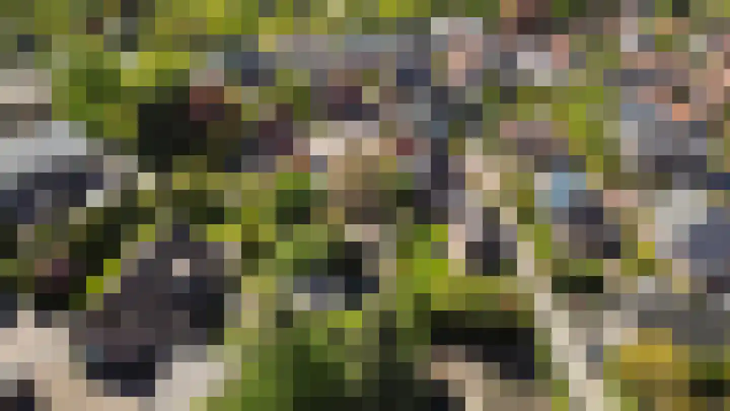 Langeslag 37 Heerde thumbnail 7