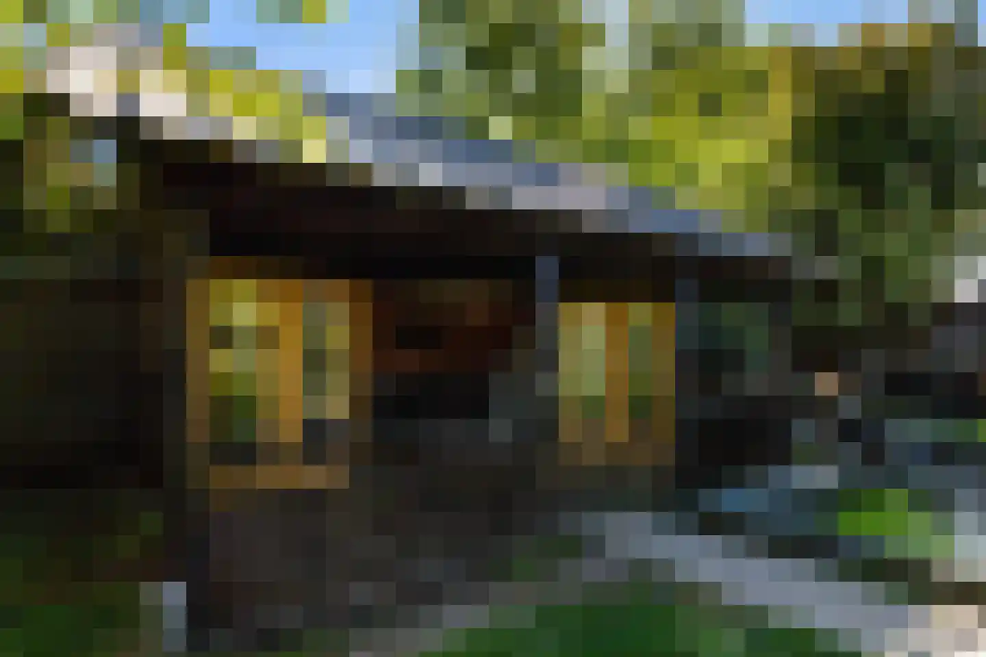 Langeslag 37 Heerde thumbnail 70