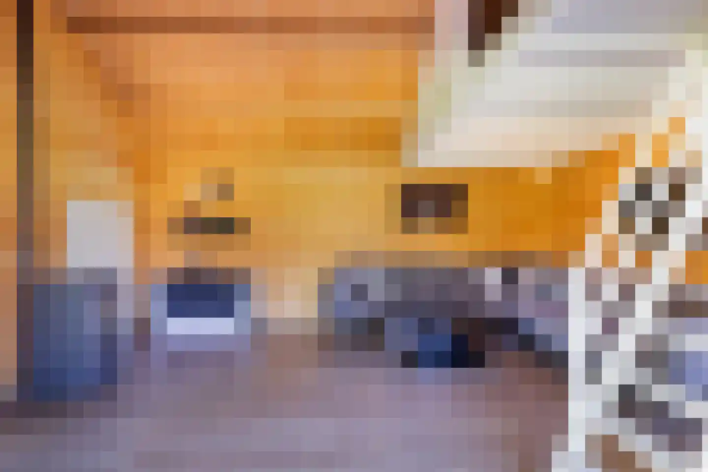 Langeslag 37 Heerde thumbnail 72
