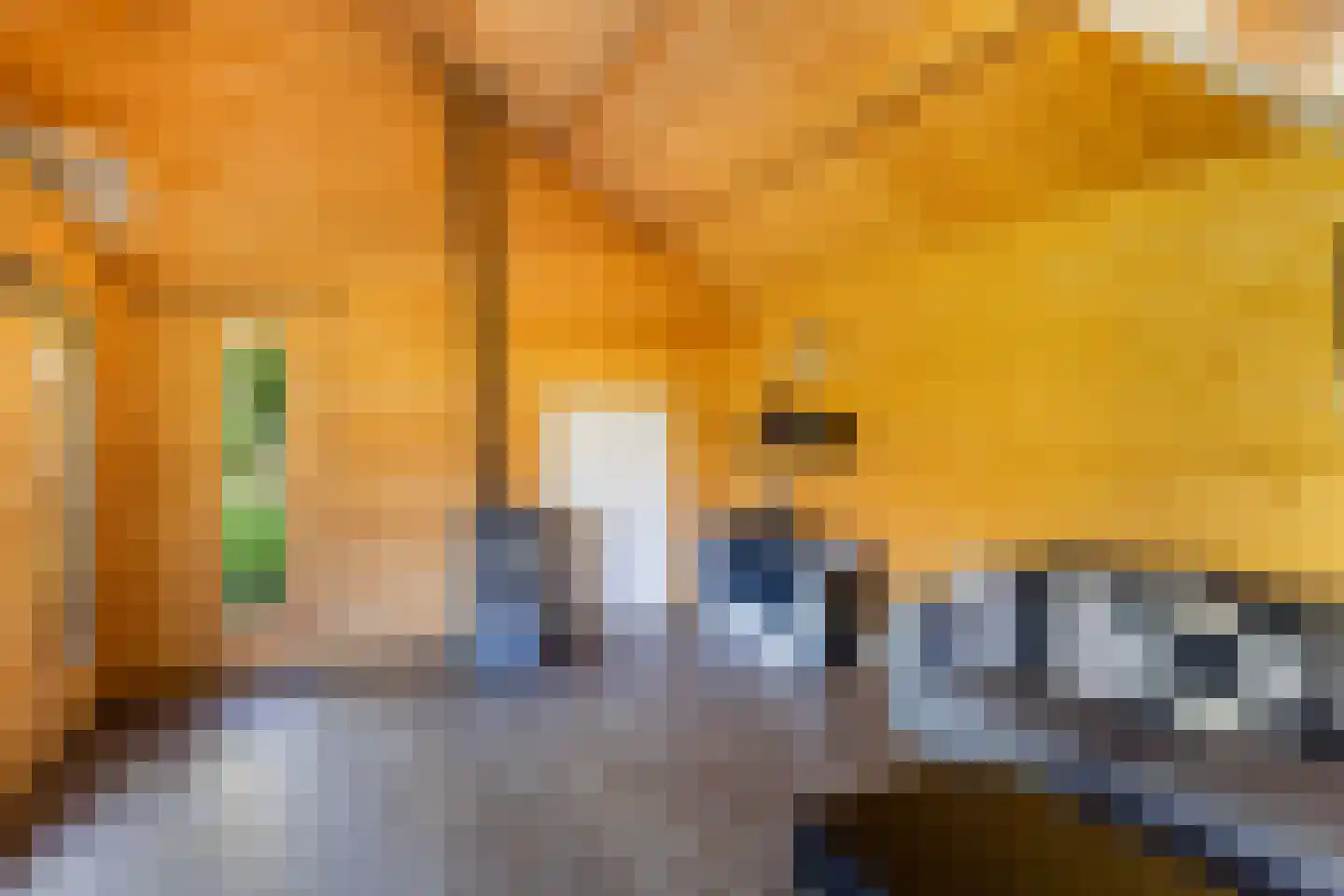 Langeslag 37 Heerde thumbnail 73