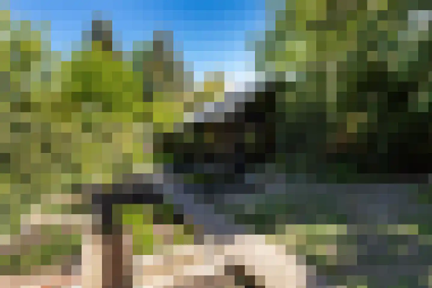 Langeslag 37 Heerde thumbnail 74