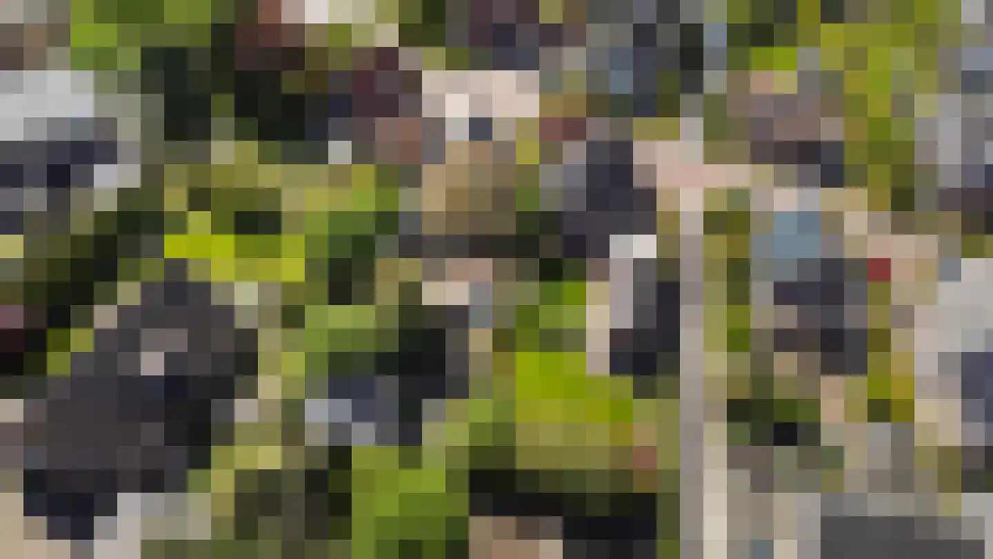 Langeslag 37 Heerde thumbnail 77