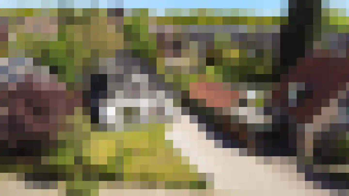 Langeslag 37 Heerde thumbnail 9