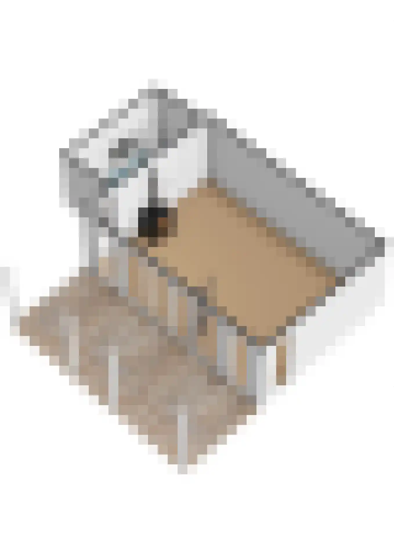 Langeslag 37 Heerde thumbnail 95