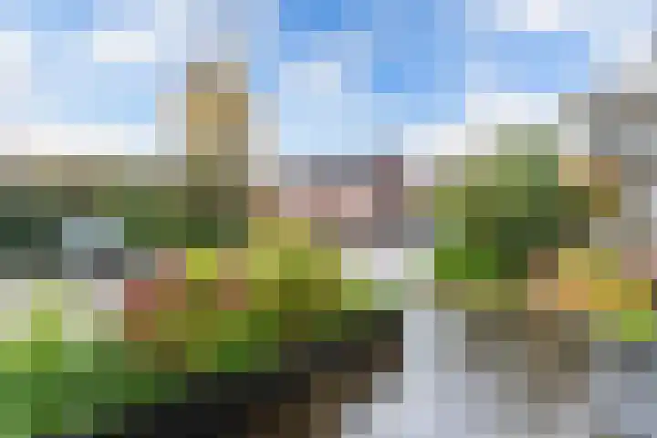 Langesloot 6 Lelystad thumbnail 34