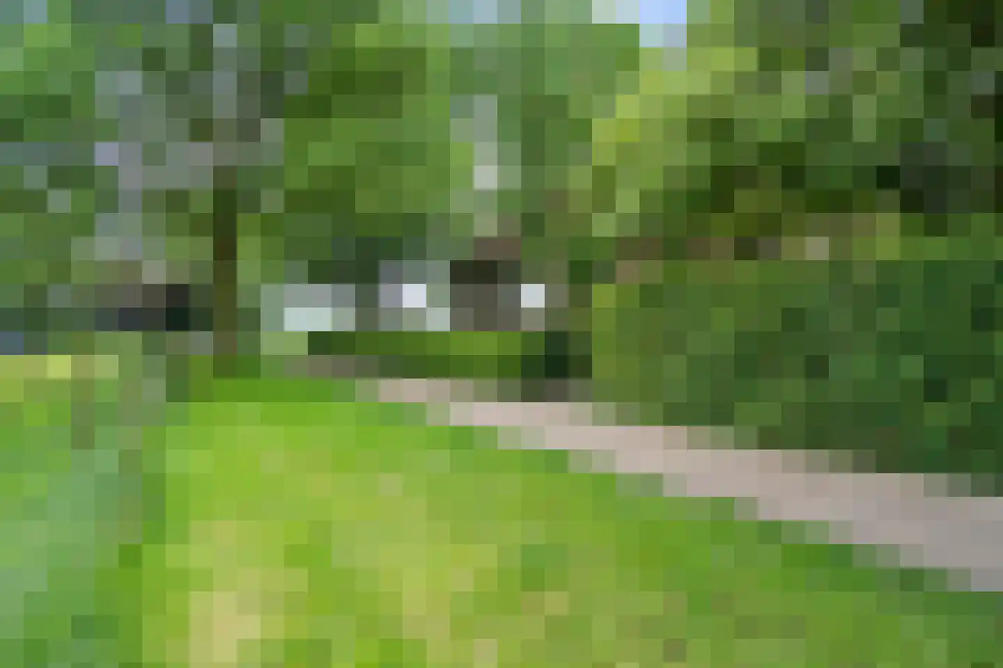 Langesteeg 10 Giethoorn thumbnail 23