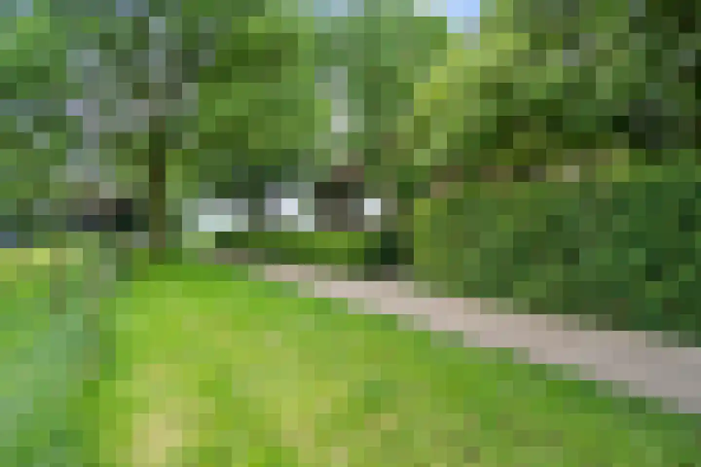Langesteeg 10 Giethoorn thumbnail 23