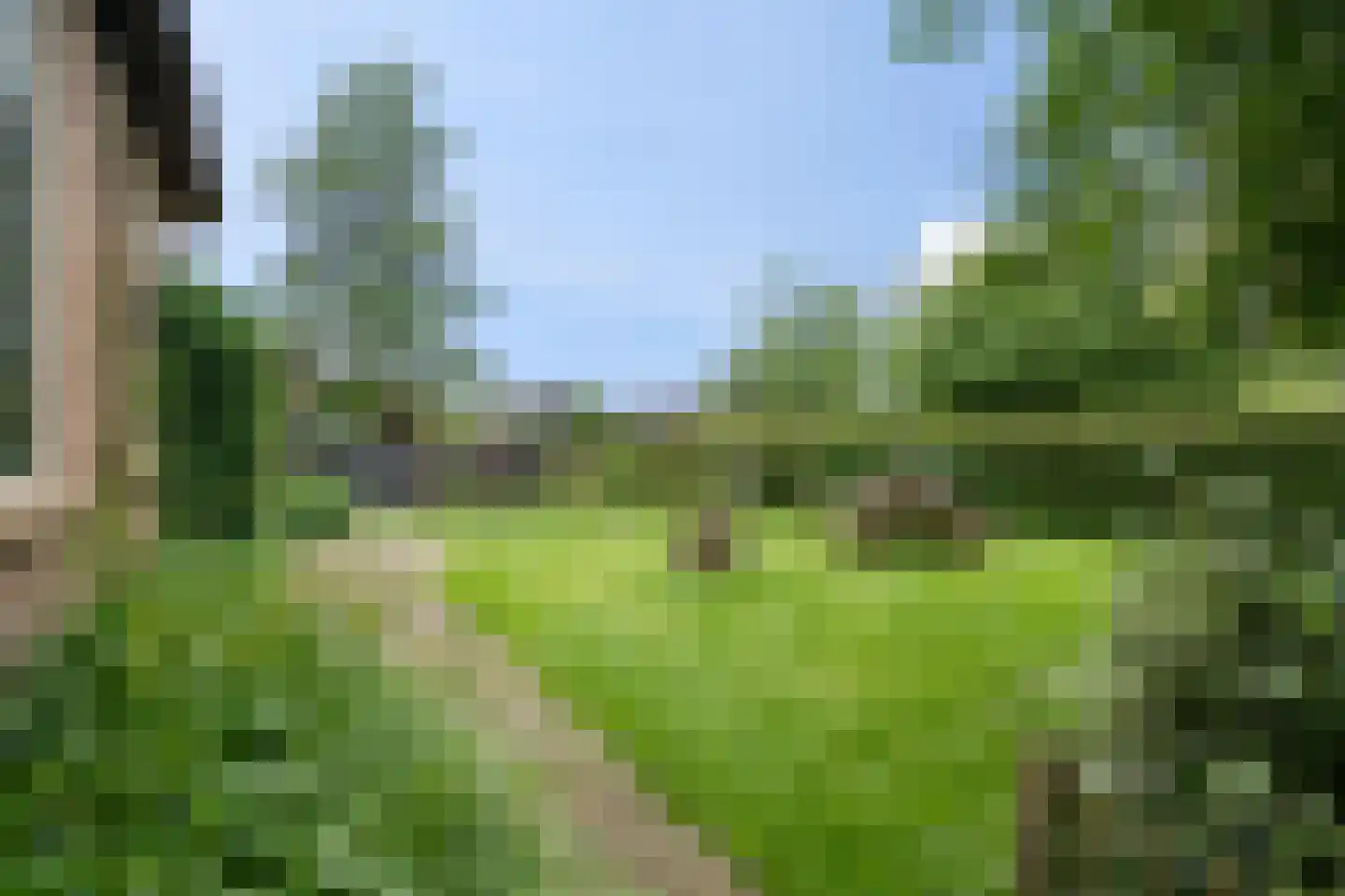 Langesteeg 10 Giethoorn thumbnail 28