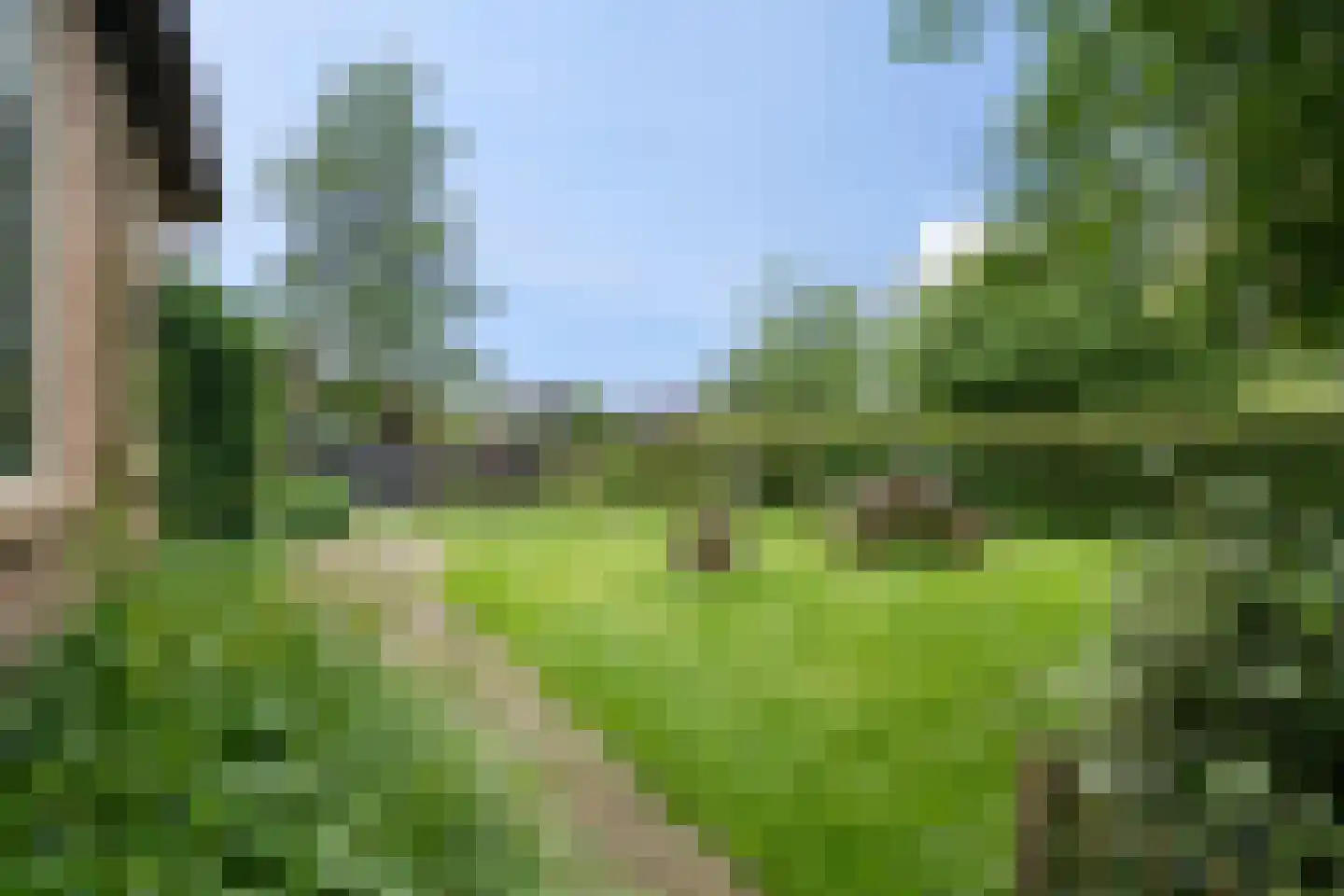 Langesteeg 10 Giethoorn thumbnail 28