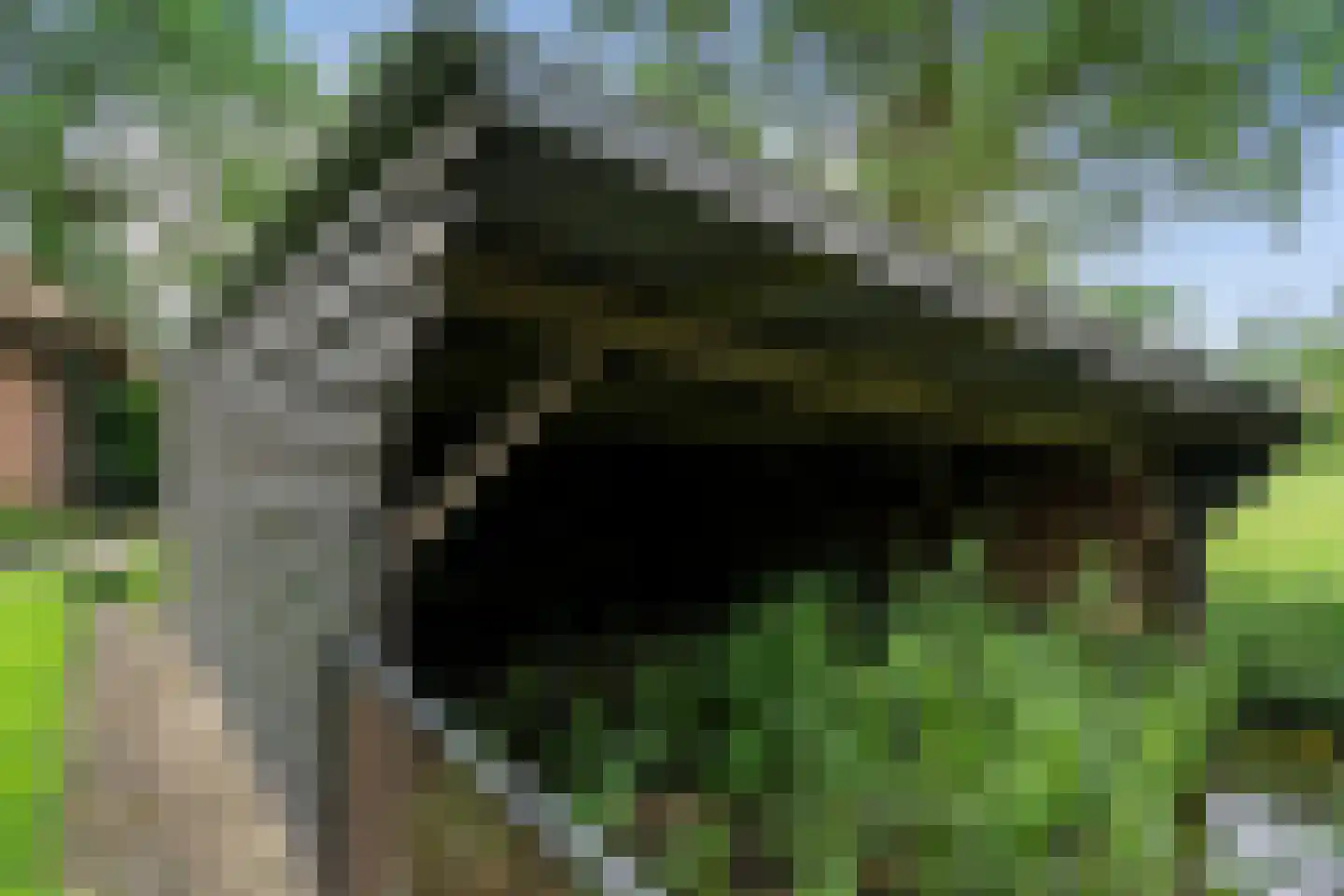 Langesteeg 10 Giethoorn thumbnail 61
