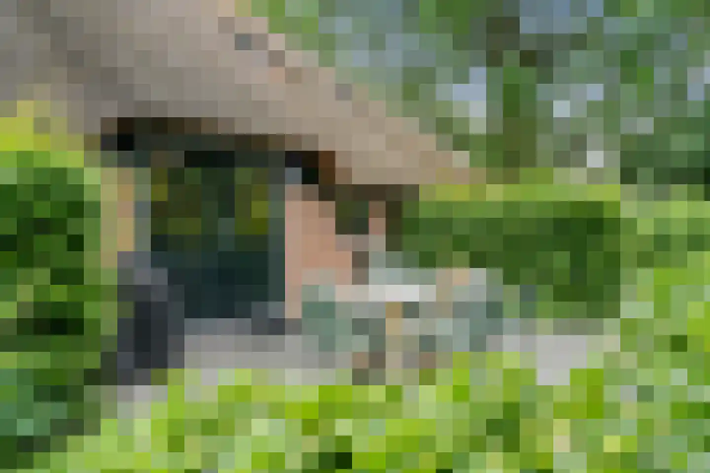 Langesteeg 10 Giethoorn thumbnail 64